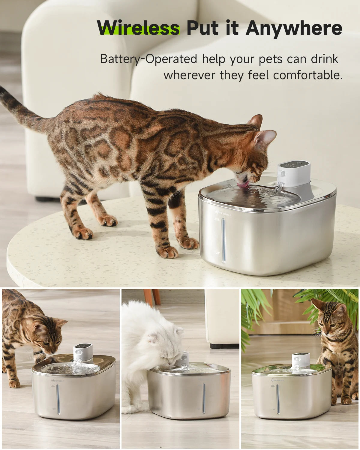APETDOLA La Fontaine à Eau pour Chat avec Capteur Automatique, Ultra Silencieux.