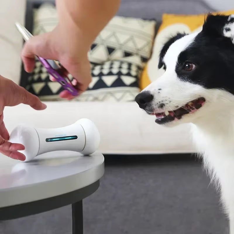 Wickedbone Smart Automatic & Interactive Bone Toys for Dogs and Cats App Control Safe & Durable Keep Your Pets Entertained