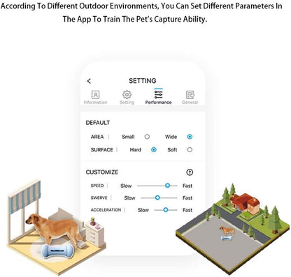 Wickedbone-Jouets intelligents automatiques et interactifs Sophia pour chiens et chats, contrôle d'a