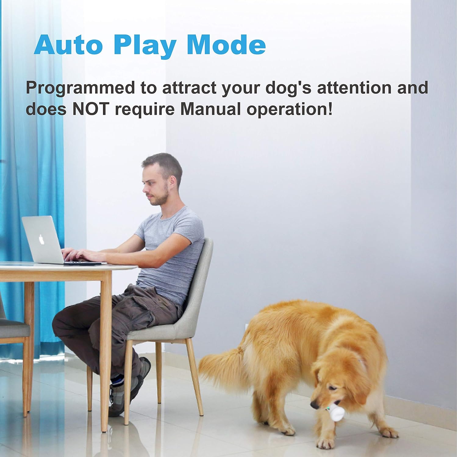 Wickedbone-Jouets intelligents automatiques et interactifs Sophia pour chiens et chats, contrôle d'a