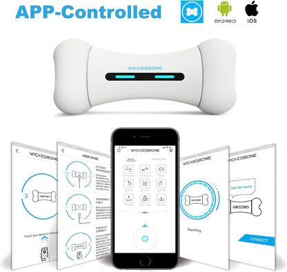 Wickedbone-Jouets intelligents automatiques et interactifs Sophia pour chiens et chats, contrôle d'a