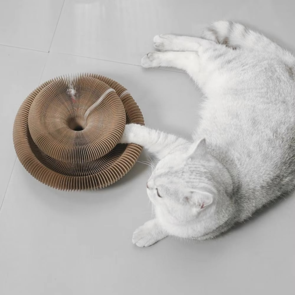 Transformable Kitty Kurlz Cat Toy Wear-Resistant No Crumbs Cat Accordion Magic Organ Resistant to Scratching