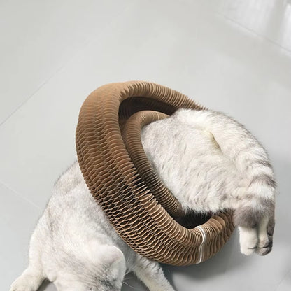 Transformable Kitty Kurlz Cat Toy Wear-Resistant No Crumbs Cat Accordion Magic Organ Resistant to Scratching