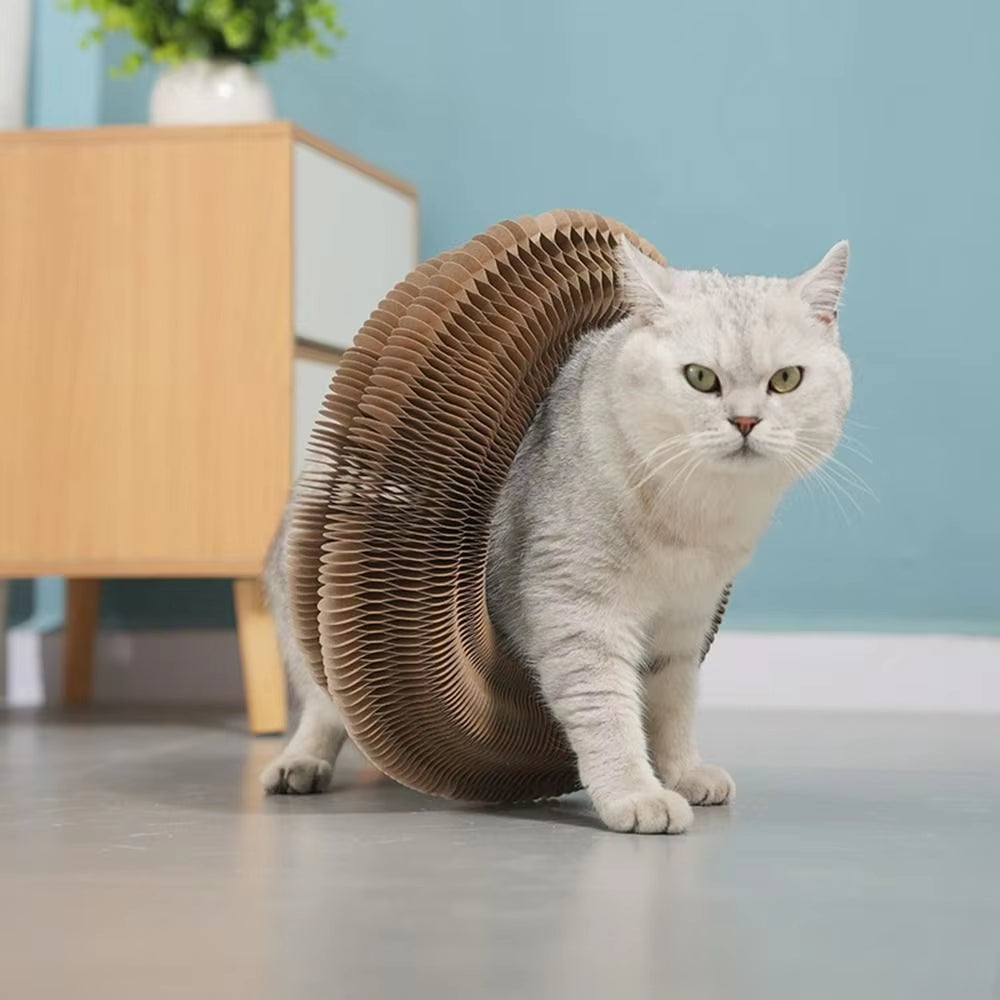 Transformable Kitty Kurlz Cat Toy Wear-Resistant No Crumbs Cat Accordion Magic Organ Resistant to Scratching